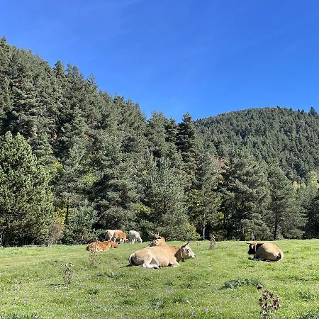 Apartamento LA MOLINA Alp Esterno foto