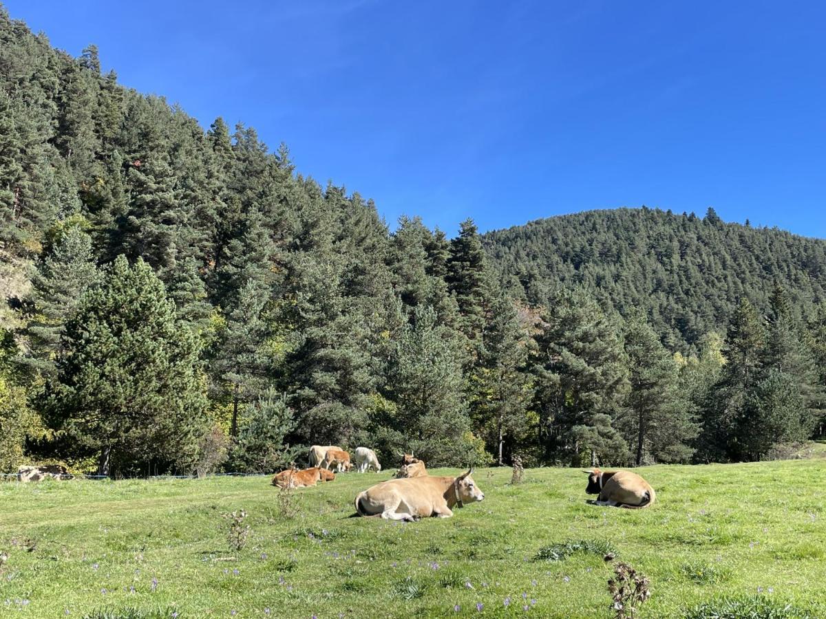 Apartamento LA MOLINA Alp Esterno foto